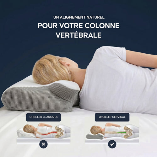 L'Oreiller Cervical Spécial Télétravail & Bureau